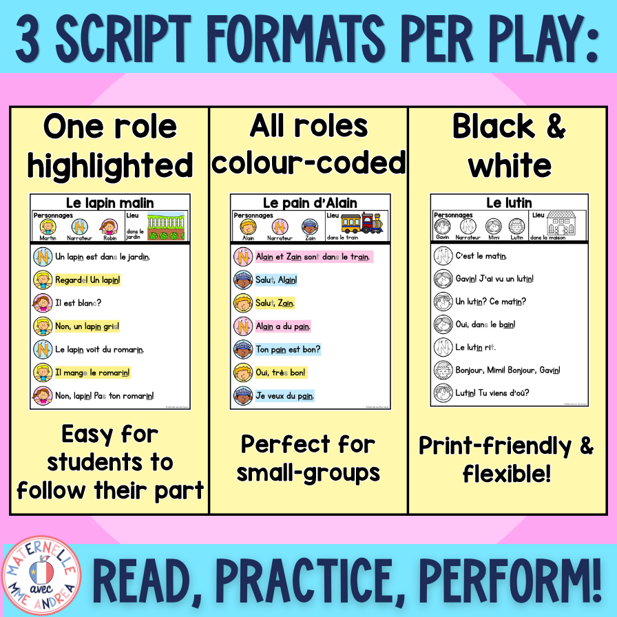 French Reader’s Theatre Scripts | Decodable Plays for IN AIN | Phonics & Fluency — image 3