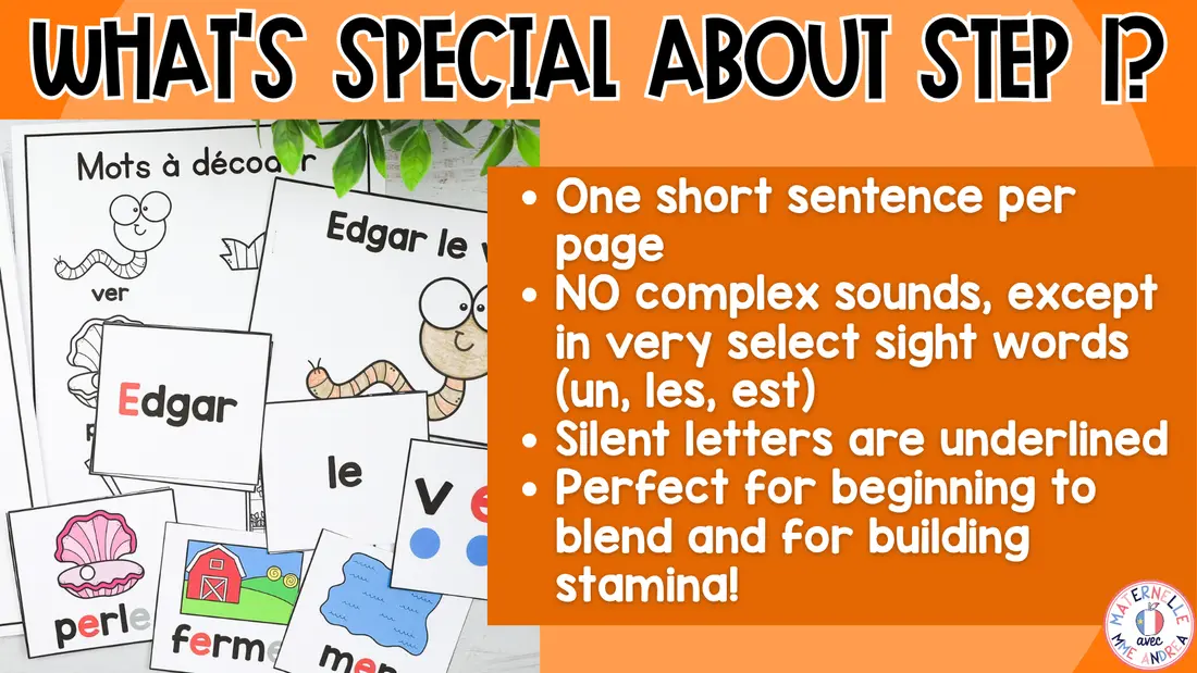 FRENCH Decodable Reader - Print/Digital - Closed syllable E (Science of Reading) — image 8
