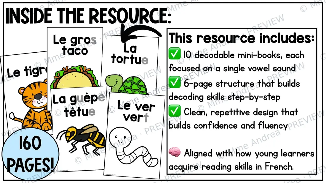Super Simple French Decodable Books – Vowels Mini Books | French Science of Reading — image 2