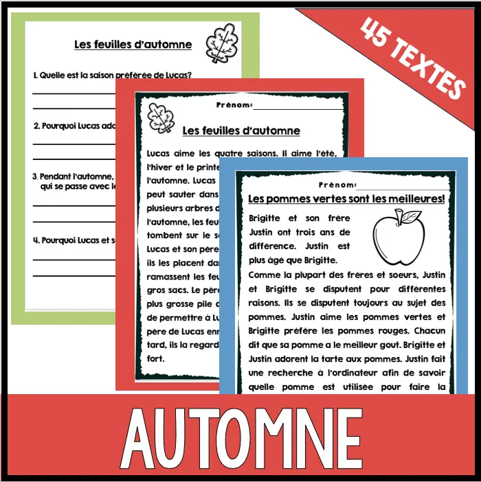 French Reading Comprehension COMPRÉHENSION de LECTURE - Automne/Fall, Hiver-Noël, St-Valentin, Pâques, Rentrée scolaire 45 textes — image 4