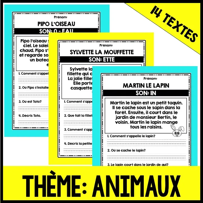 French Reading Comprehension Worksheets Grade 1 & 2  - Compréhension de lecture avec Sons variés — image 4