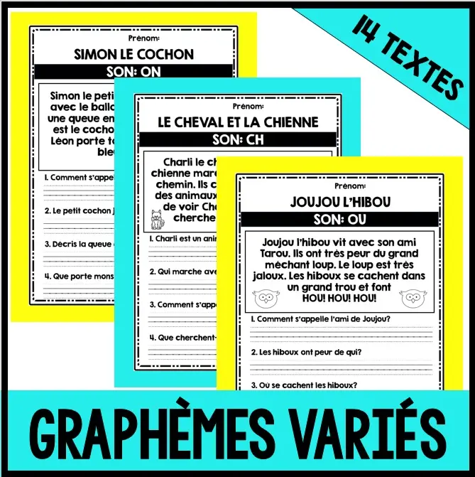 French Reading Comprehension Worksheets Grade 1 & 2  - Compréhension de lecture avec Sons variés — image 3