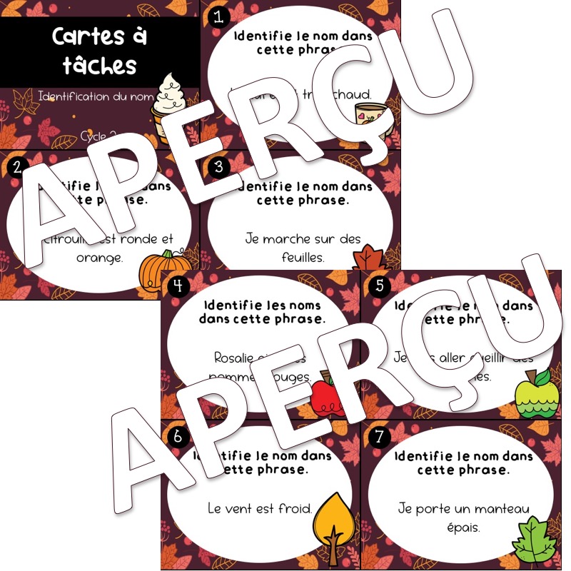 French Task Cards: Nouns — image 3
