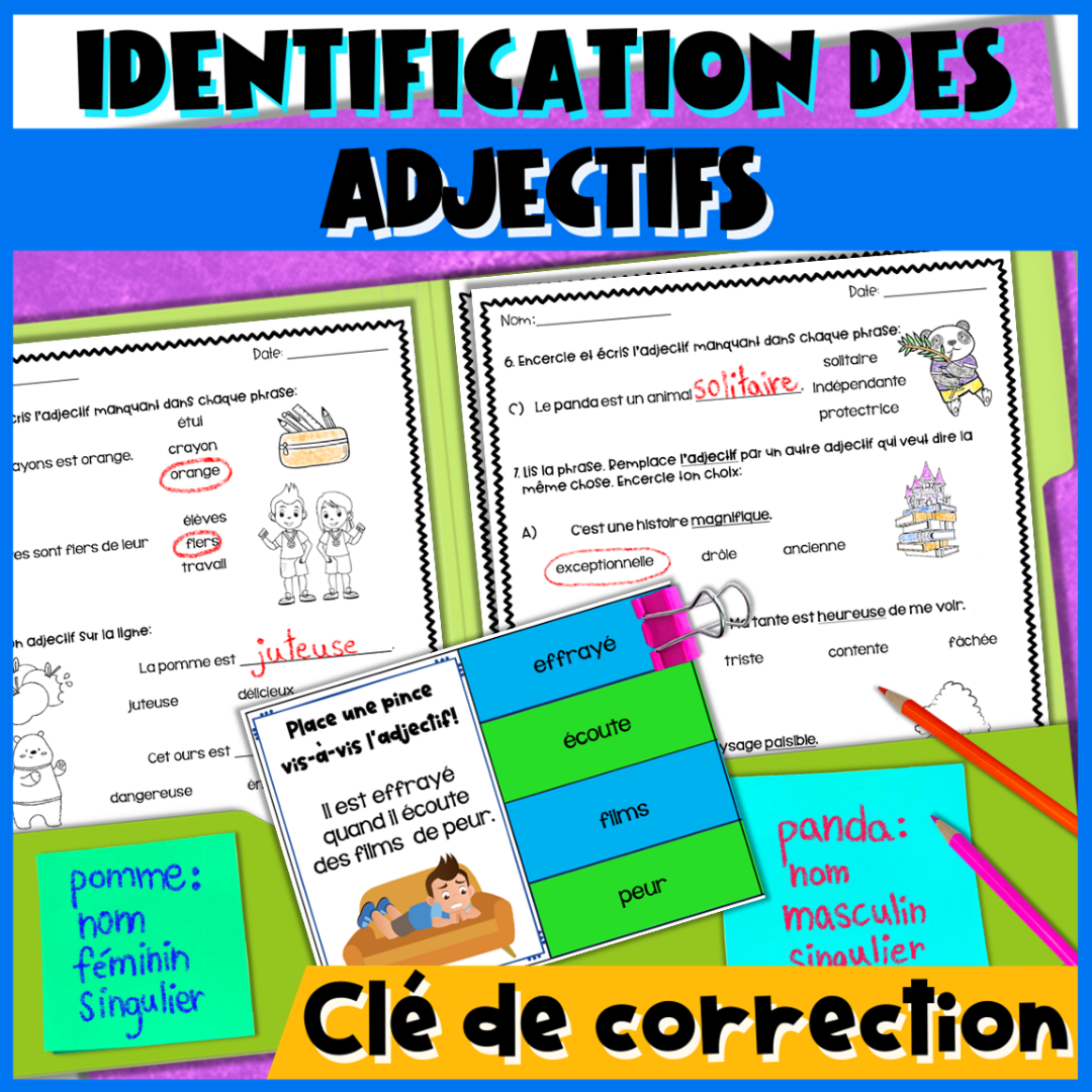 French Adjectives – Gender & Number Agreement | Worksheets, Google Slides & Task Cards — image 3