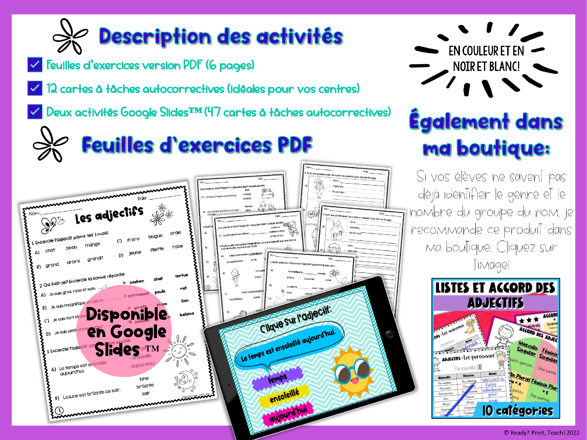 French Adjectives – Gender & Number Agreement | Worksheets, Google Slides & Task Cards — image 6