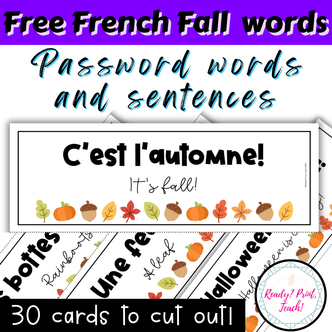 FREE French Fall Vocabulary Cards | Password of the day | Autumn Daily Routine — image 2