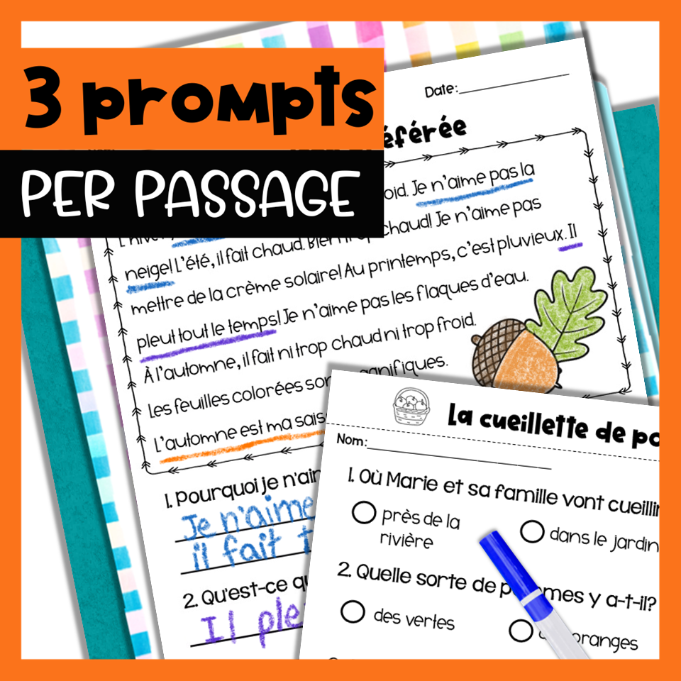 French differentiated reading passages AUTUMN — image 4