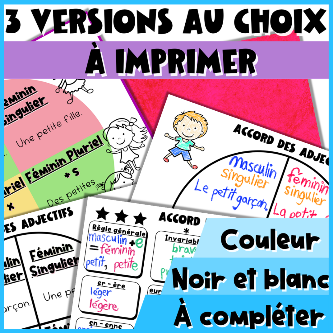 Lists of French Adjectives – Gender & Number Agreement | French Grammar — image 3