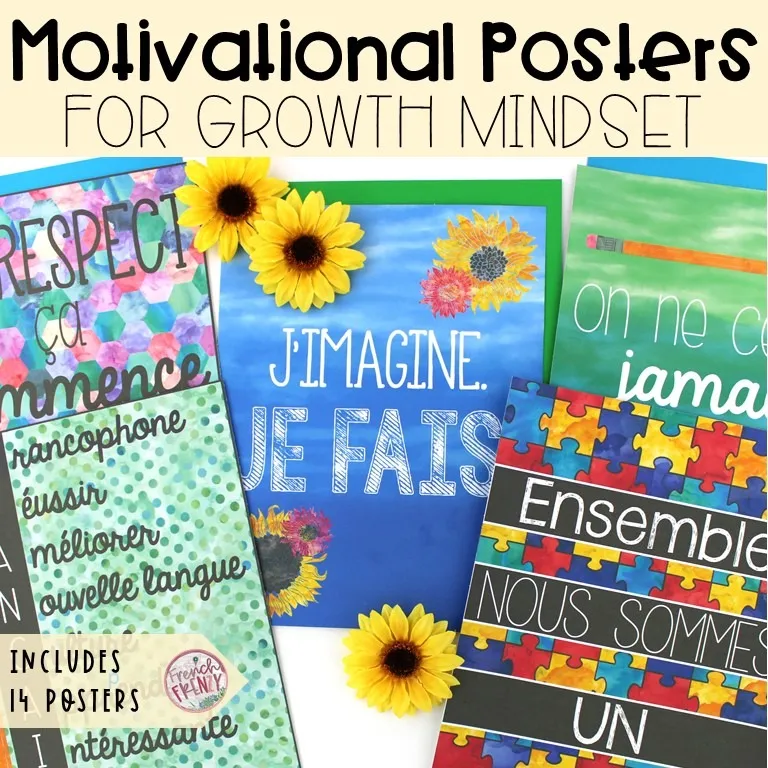 French Motivational Posters for Growth Mindset - Includes 14 Posters 