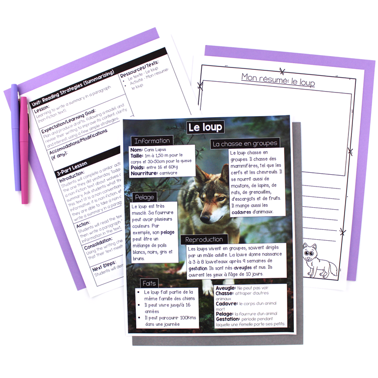 French Reading Strategies - Summarizing Unit - Lessons and Activities (Faire un résumer) — image 4