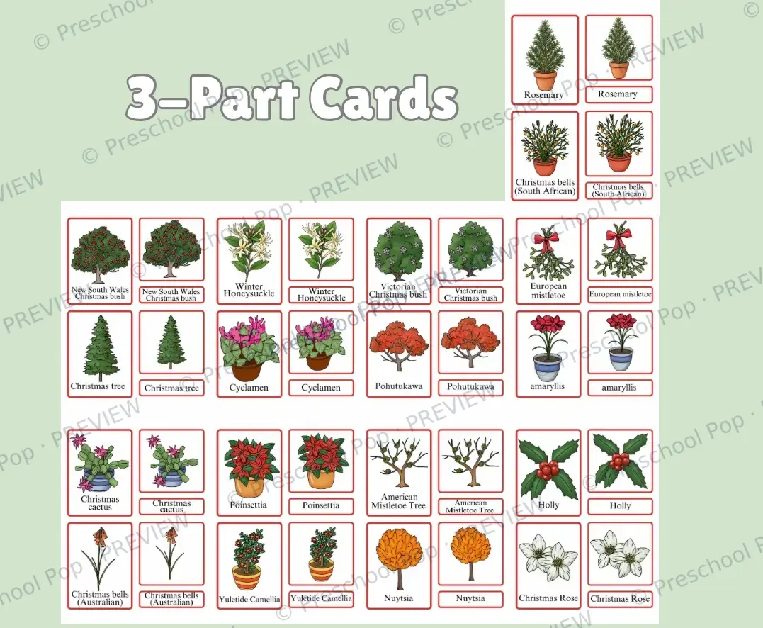 Christmas Plants Around The World — image 3