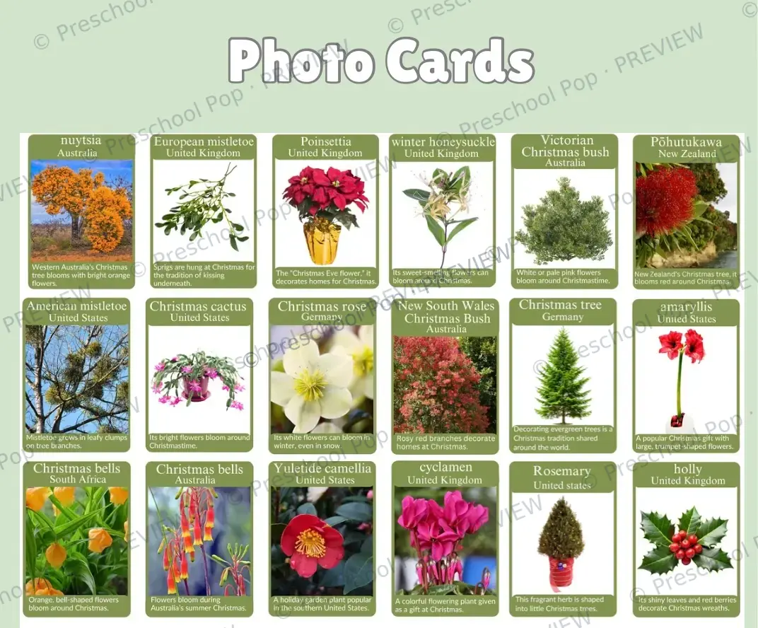 Christmas Plants Around The World — image 2