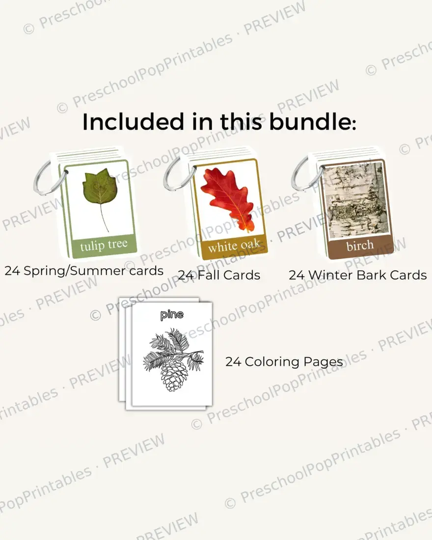 Fall tree Leaf ID cards — image 3